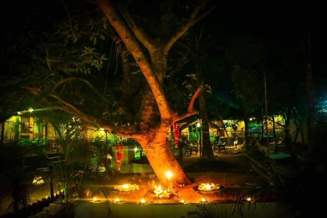 فندق Patnem Palm Garden Patnem Beach المظهر الخارجي الصورة